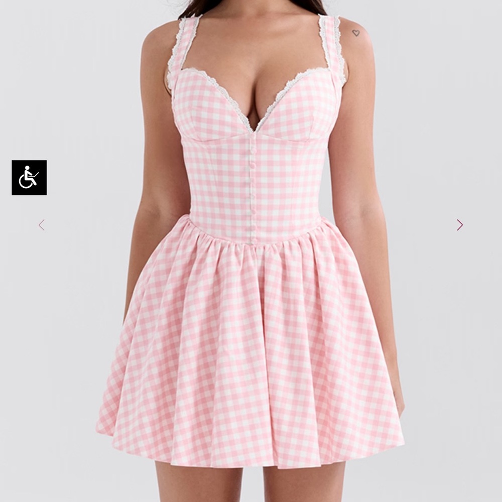 Brigitte Strawberry Shortcake Gingham Corset Mini Dress